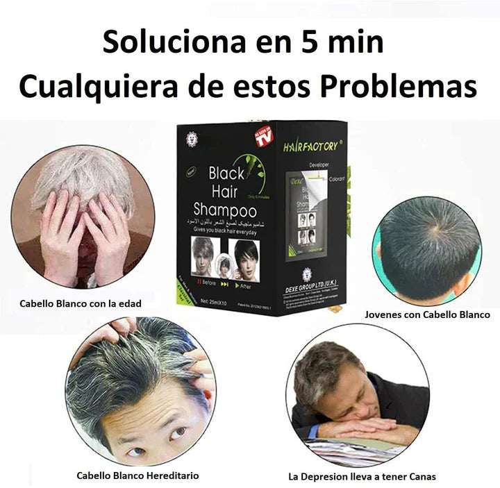 SHAMPOO CUBRE CANAS SACHETX10
